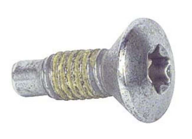 Door Latch SCREW: 80-87 GM Various